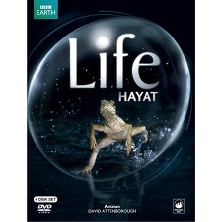 Dvd-Hayat / Life 4 Dvd