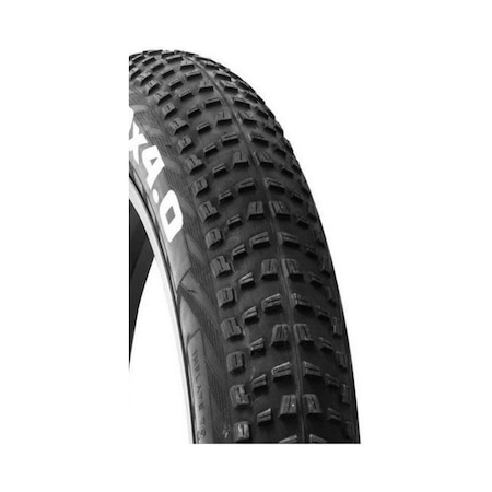 Cst Fat Bike Dış Lastik Bft 20x4.0 C1752