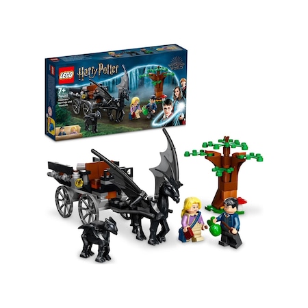 LEGO® Harry Potter 76400 Hogwarts Araba ve Testraller 121 Parça