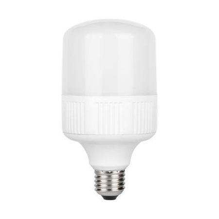 K2 Led Ampul Torch 30w E27 Günışığı