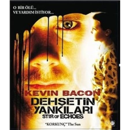 Blu Ray-Dehşetin Yankıları