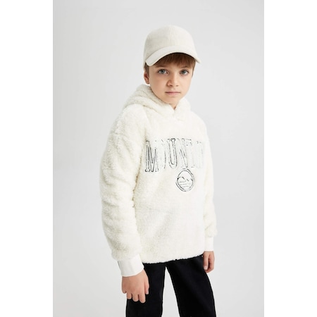 Defacto Erkek Çocuk Oversize Fit Kapüşonlu Welsoft Pelüş Sweatshirt B1734A823WNER103