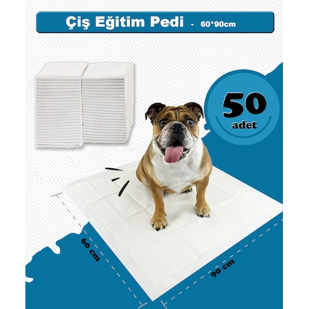 Noname Köpek Çiş Pedi - 60 90cm / 40gr / 50ad