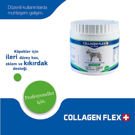 Collagen Flex Professional Eklem ve Kas Desteği 400 G