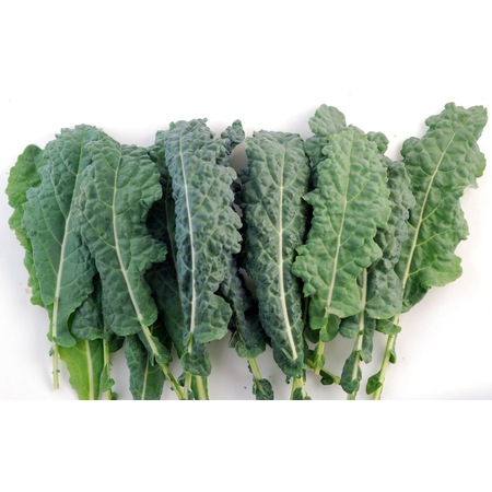 70 Kale Sebzesi Tohumu Kara Lahana Fiyatlari Ve Ozellikleri
