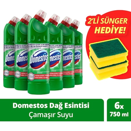 Domestos Çamaşır Suyu Dağ Esintisi 750 Ml X 6+ Sünger 1 Adet