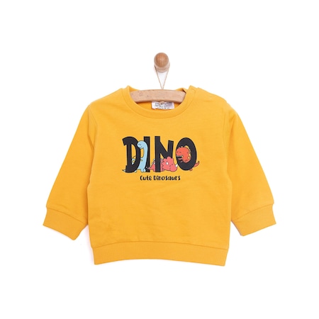 HelloBaby Basic Az Şardonlu Dino Baskılı Sweatshirt Erkek Bebek