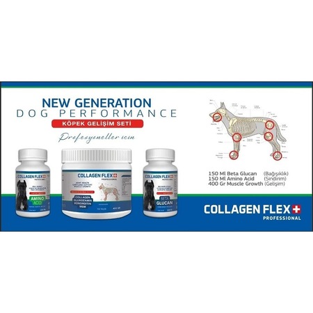 Collagen Flex İleri Düzey Köpek Gelişim Seti 3'lü