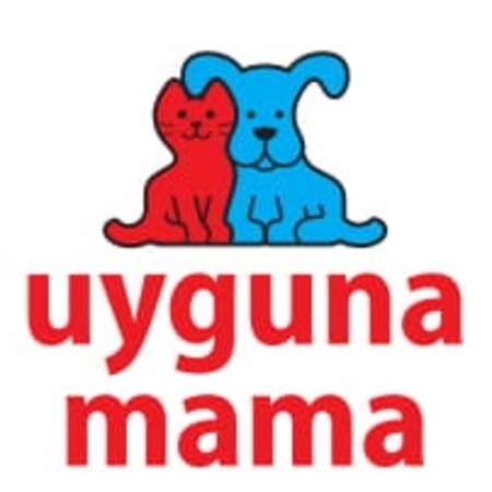 N D Tahilsiz Balikli Ve Balkabakli Kucuk Irk Yetiskin Kopek Mamas N11 Com