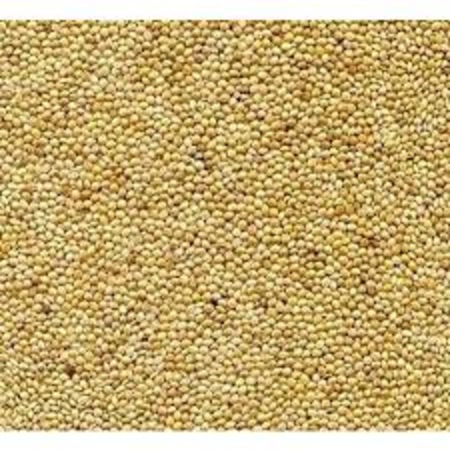 Muhabbet Kusu Yemi Sade Cuvaldan Bolme 1kg Skt 12 2022 Fiyatlari Ve Ozellikleri