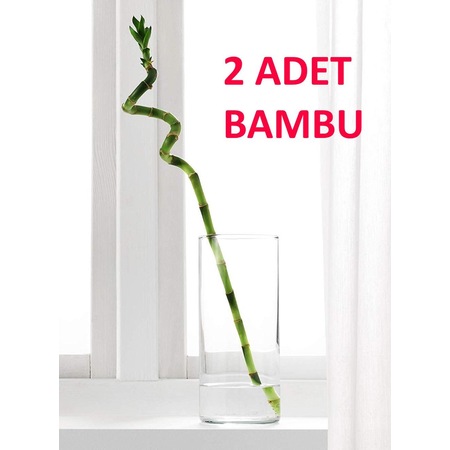 Ikea Brytart 12 Cm Saksi Toprak Kap Cicek Bitki Fiyatlari Ve Ozellikleri