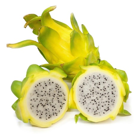 Tuplu Sari Pitaya Yellow Dragon Fruit Ejder Meyvesi Fidani Fiyatlari Ve Ozellikleri
