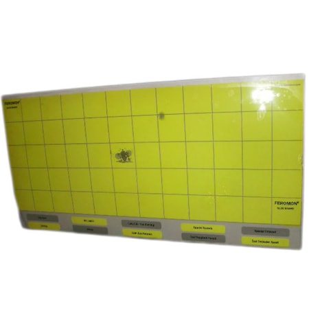 FlexArt Sinek Öldürücü Yapışkanlı Kağıt 10'lu 30 x 60 CM