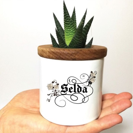 Kişiye Özel Kaligrafi İsimli Saksıda Canlı Sukulent Fiyatları ve