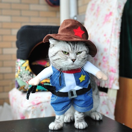 Gomaomi Pet Kovboy Kot Kedi Kostüm