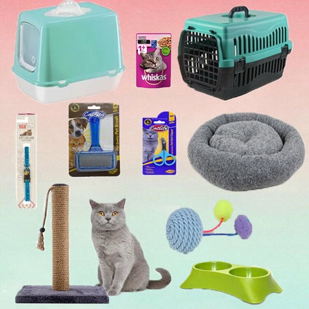 Kapali Tuvaletli Kedi Ihtiyac Seti 10 Lu Fiyatlari Ve Ozellikleri