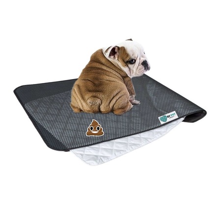 Bypet Yikanabilir 3 Katmanli Kopek Tuvalet Egitim Pedi Seti 90 X 60 Cm Fiyatlari Ve Ozellikleri