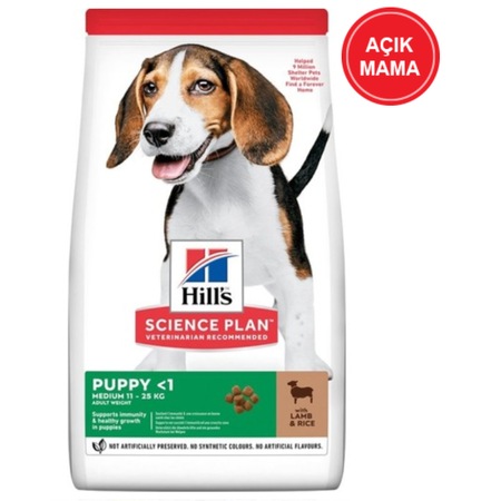 yavru köpek mama saatleri