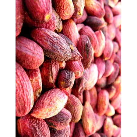 antep fistigi agac alti 1 kg fiyatlari ve ozellikleri