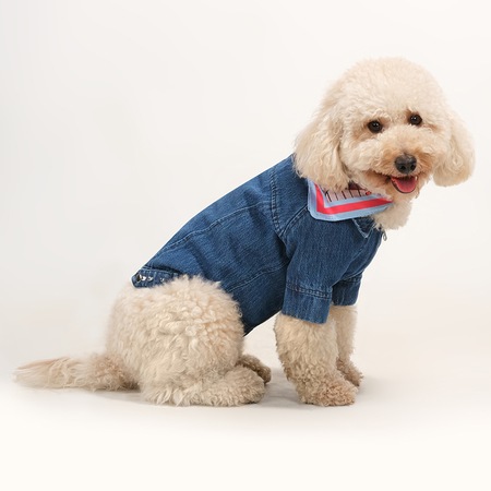 denim dog clothes