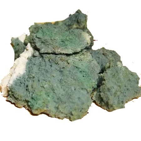 Gorgonzola Italyan Kuflu Peyniri Nefis Yemek Tarifleri