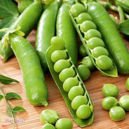 Rondo Bezelye 100 Tohumu 20 Gr Fiyatlari Ve Ozellikleri