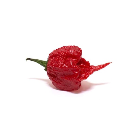 Kırmızı Carolina Reaper Dünya'nın En Acı Biber Tohumu- 5 Tohum