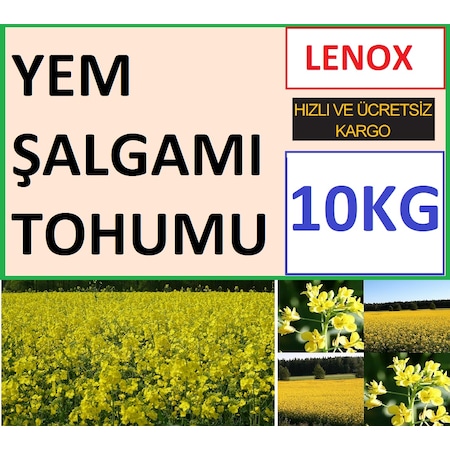 Yem Şalgamı Tohumu 10 KG LENOX Tohumu Yem Bitkisi Tohumu