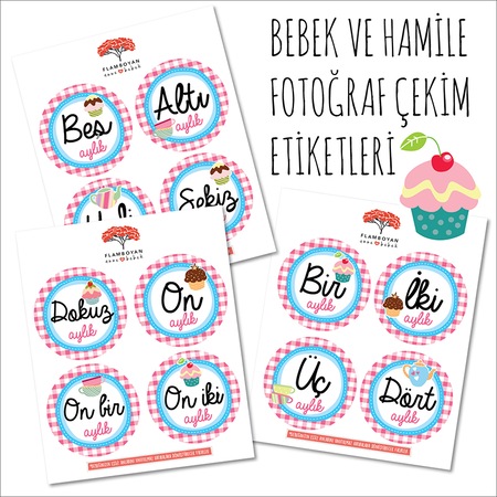 Aylik Bebek Sticker Fiyatlari Ve Ozellikleri