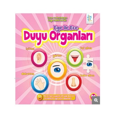 Ege Ile Ece Duyu Organlari N11 Com