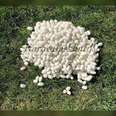 İpek Kozası 1 kilo