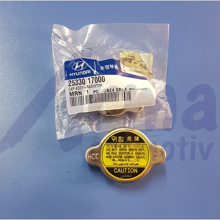 2533017000 hyundai kia