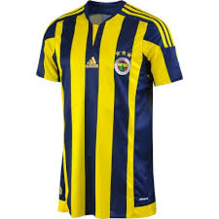 Adidas AN8117 Fenerbahçe 2015-16 Çubuklu Forma