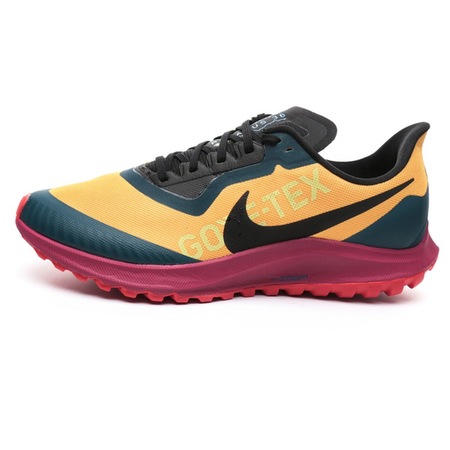 nike pegasus gtx