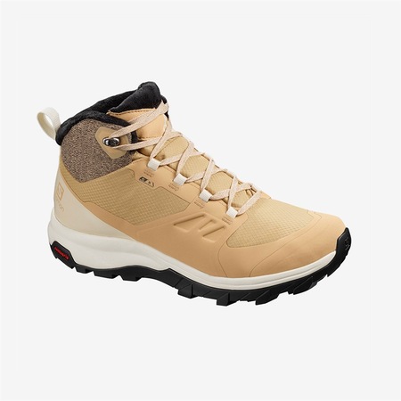 quest 4d 3 gtx shoe women's