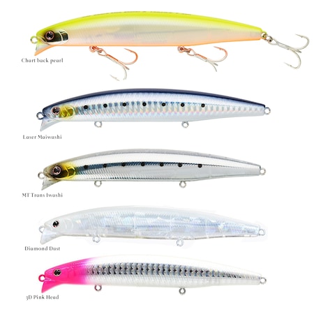 daiwa shore line shiner z vertice 120f