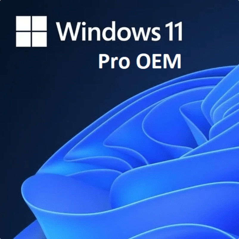Windows 11 Pro Oem Ürün Anahtarı