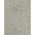 n11 Review