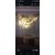 n11 Review
