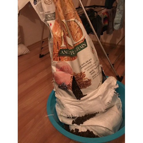 Nd Kuzu Etli Yaban Mersinli Yavru Köpek Maması 12kg