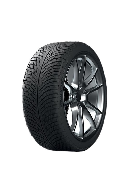 Michelin Michelin 235/35R19 91W XL Pilot Alpın 5 Kış Lastiği 2026 235/35 R19