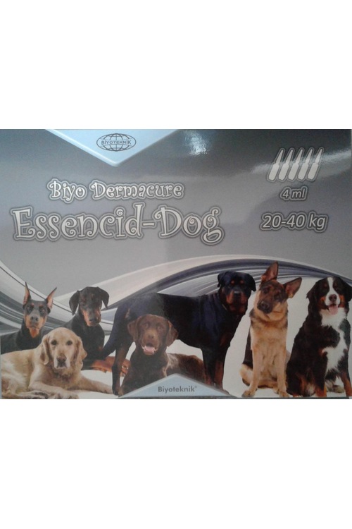 dış parazit köpek