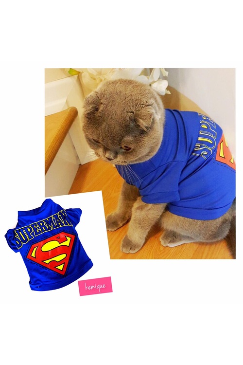SUPERMAN Kedi Tişört by Kemique KEDİ KIYAFETİ Fiyatları ve Özellikleri