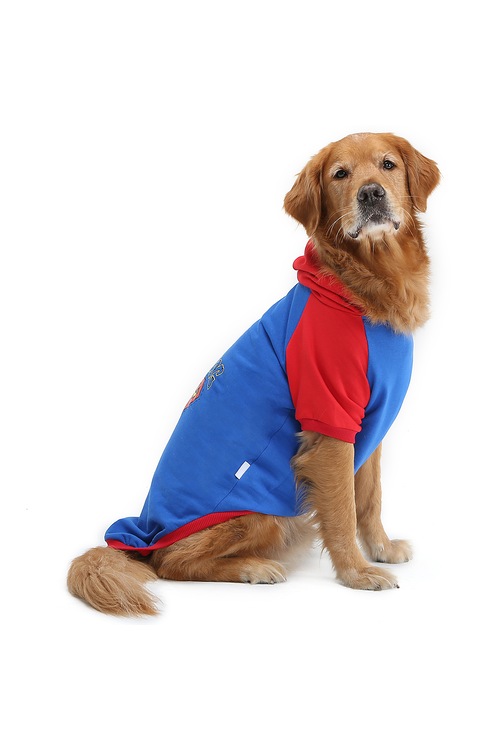 DOGİ&amp;DOG SÜPERDOG SWEAT BÜYÜK IRK KÖPEK KİYAFETİ Fiyatları ve Özellikleri