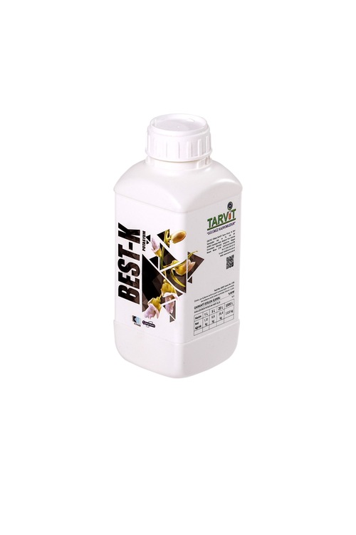 BEST-K-RENK VE İRİLİK DOSTU