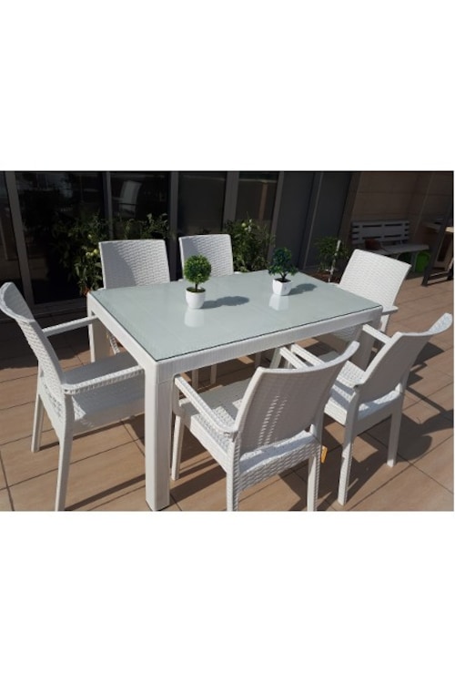 80x140 Masa Sandalye Takımı Bahçe Mobilyası CAMLI Rattan