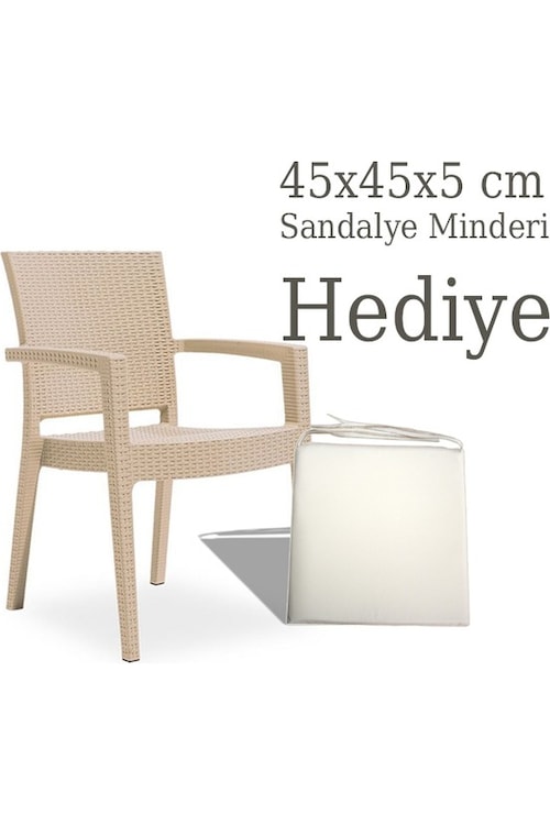 Novussi Paris Rattan Koltuk 4 Adet Sandalye Fiyatları ve Özellikleri
