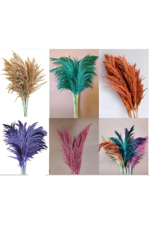 Şoklanmış 15'li Pampas Otu 100 Cm