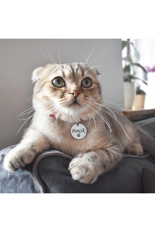 Yuvarlak Kedi Künyesi Metal Kedi Köpek isimliği Paslanmaz Çelik