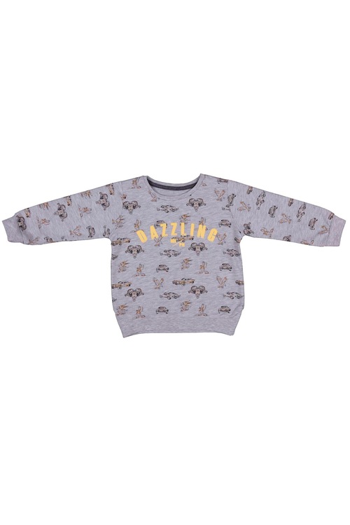 Bebepan Canyon Erkek Çocuk Sweatshirt Gri